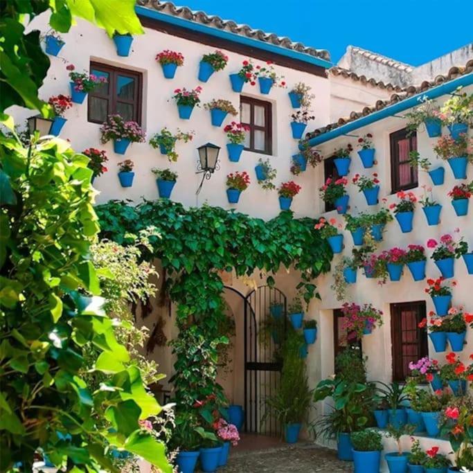 Cordvba Osario Centro Apartment Cordoba Luaran gambar